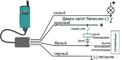SHEMA